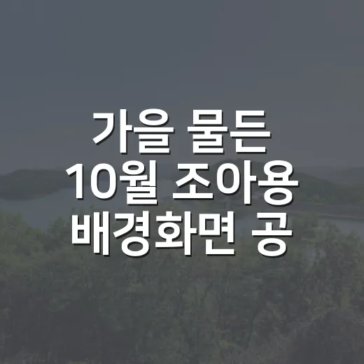가을 물든 10월 조아용 배경화면 공개