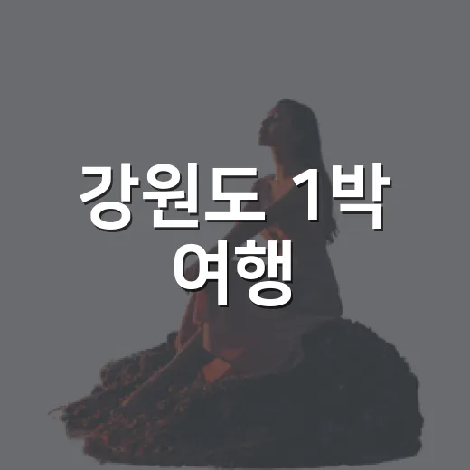 강원도 1박 여행, 캠핑과 감성숙소 비교
