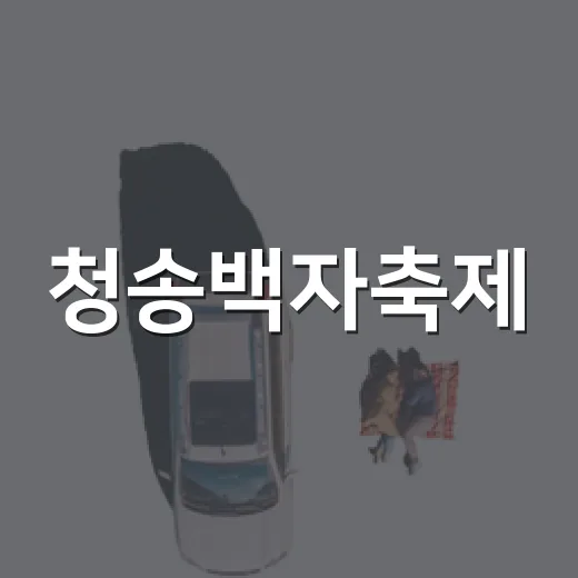 청송백자축제, 체험과 즐길거리 가득