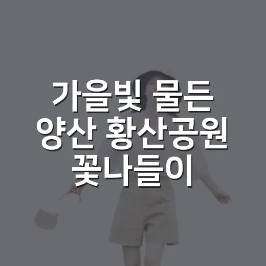 가을빛 물든 양산 황산공원 꽃나들이