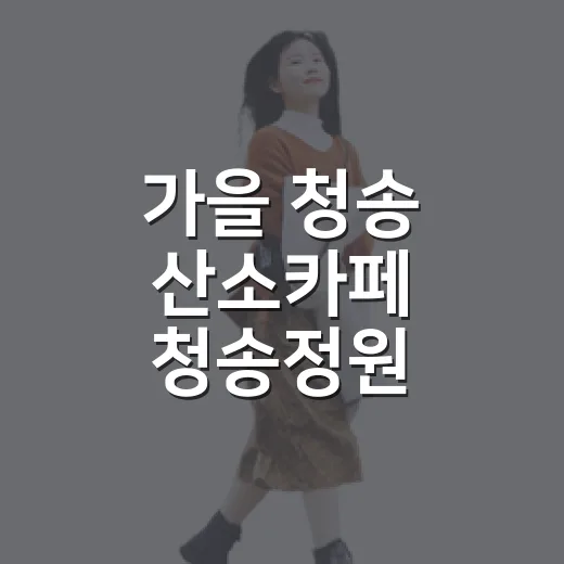 가을 청송 산소카페 청송정원 백일홍 만개