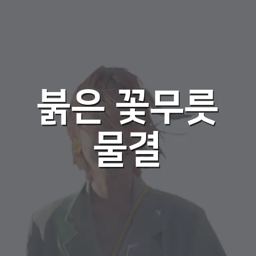 붉은 꽃무릇 물결, 보령 성주산 자연휴양림 가을 산책
