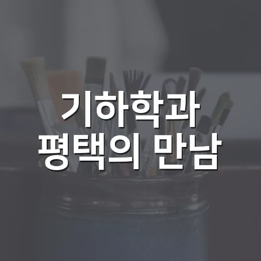 기하학과 평택의 만남, 장원모 전시