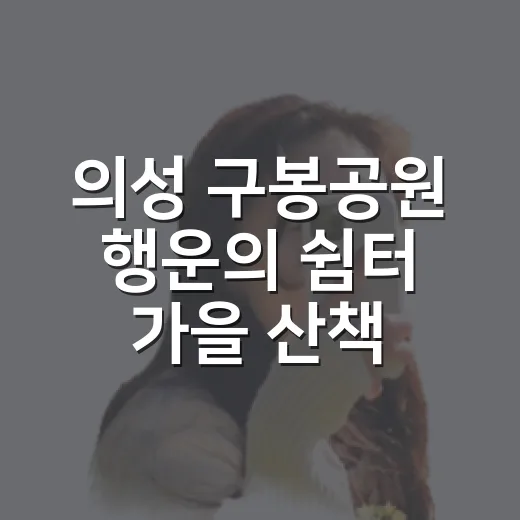의성 구봉공원 행운의 쉼터 가을 산책길