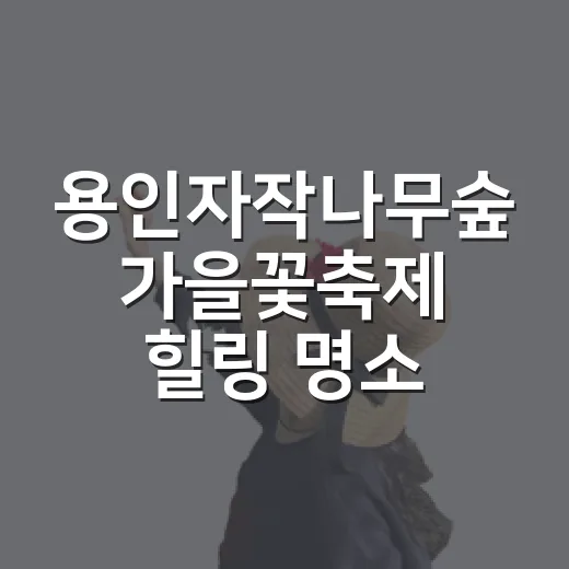 용인자작나무숲 가을꽃축제 힐링 명소
