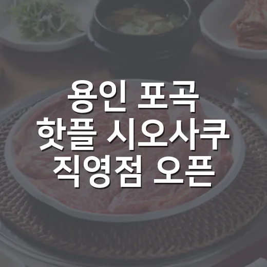 용인 포곡 핫플 시오사쿠 직영점 오픈 소식