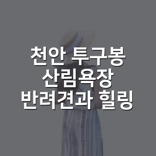 천안 투구봉 산림욕장 반려견과 힐링 숲길