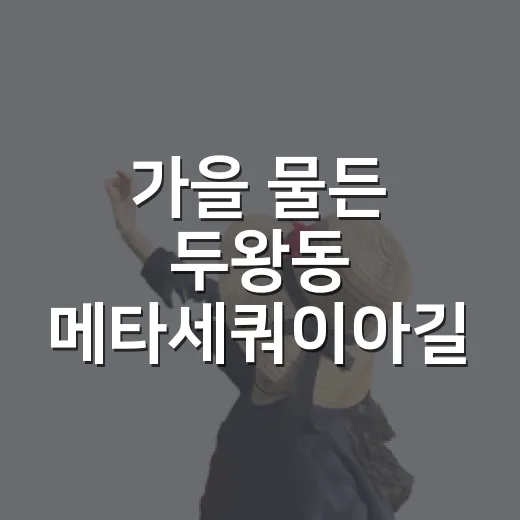 가을 물든 두왕동 메타세쿼이아길 산책