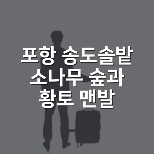 포항 송도솔밭 소나무 숲과 황토 맨발길