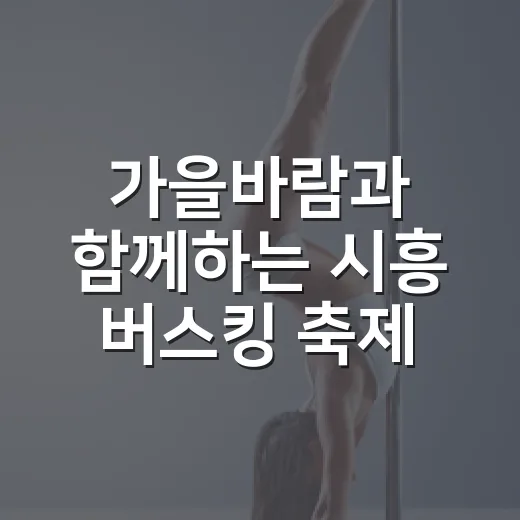 가을바람과 함께하는 시흥 버스킹 축제