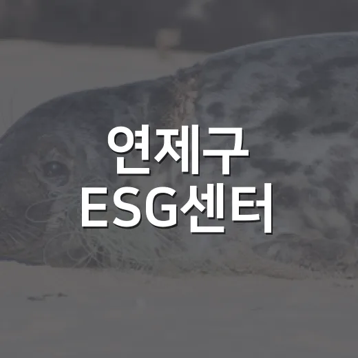 연제구 ESG센터, 환경과 일자리 두 마리 토끼 잡다