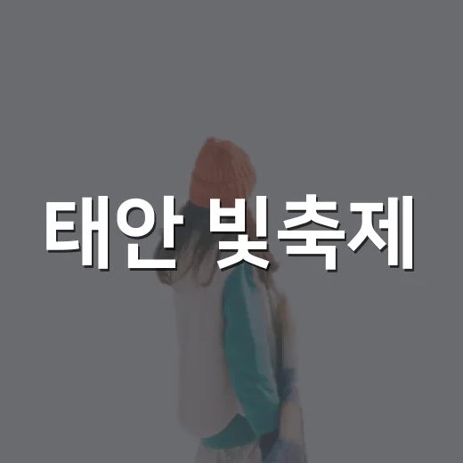 태안 빛축제, 밤을 수놓는 빛의 향연