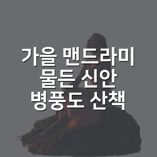 가을 맨드라미 물든 신안 병풍도 산책