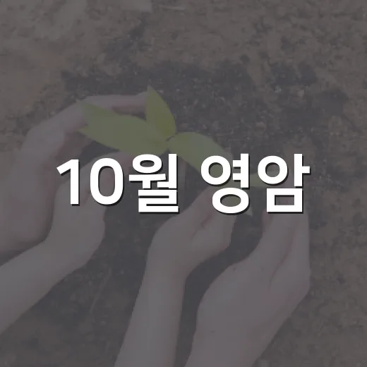 10월 영암, 국화축제부터 농촌기본수당까지 풍성한 소식