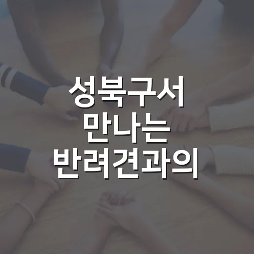 성북구서 만나는 반려견과의 특별한 하루