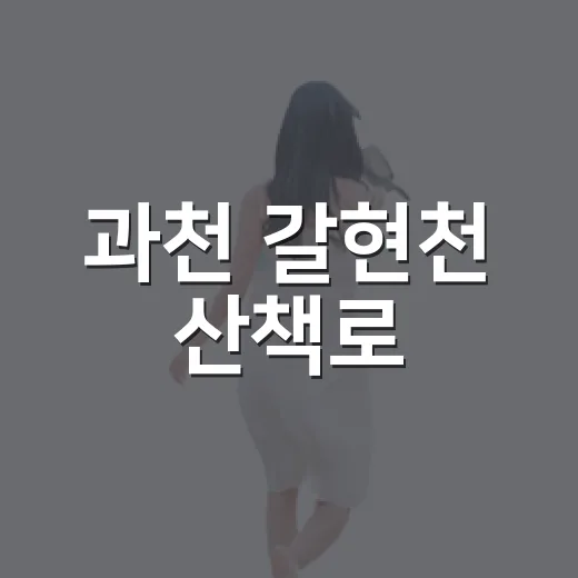 과천 갈현천 산책로, 가을의 새로운 명소