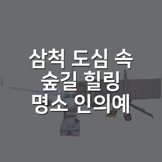 삼척 도심 속 숲길 힐링 명소 인의예지림