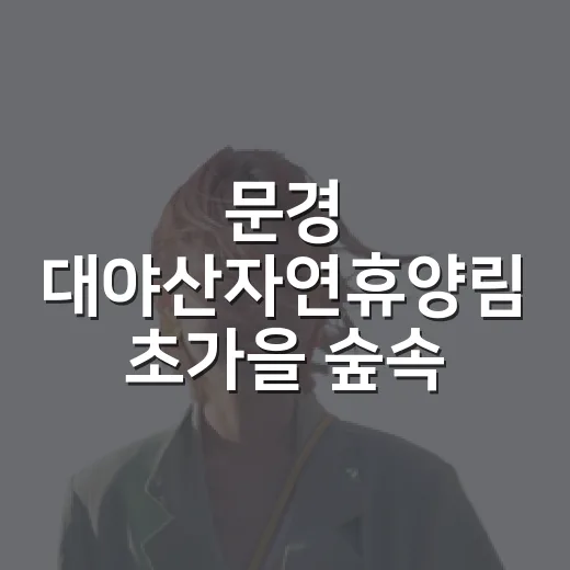 문경 대야산자연휴양림 초가을 숲속 산책