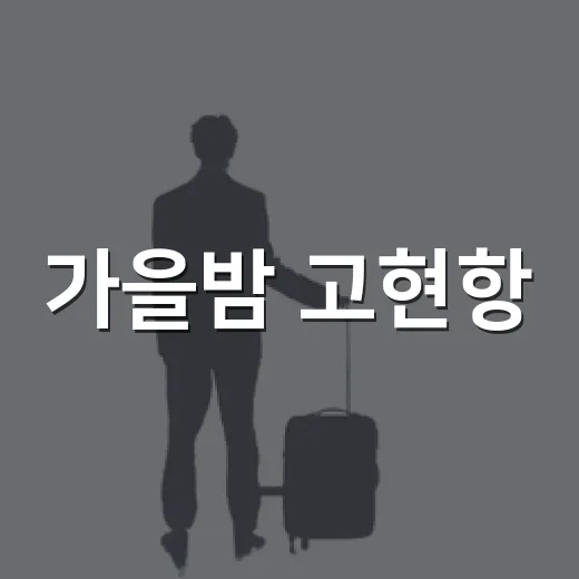 가을밤 고현항, 음악과 함께 물들다