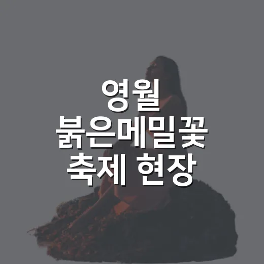 영월 붉은메밀꽃 축제 현장 소식