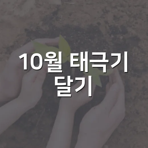 10월 태극기 달기, 나라사랑 실천의 날