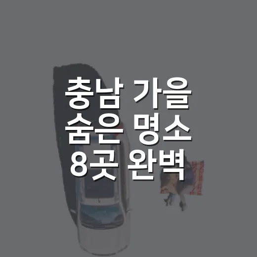 충남 가을 숨은 명소 8곳 완벽 가이드