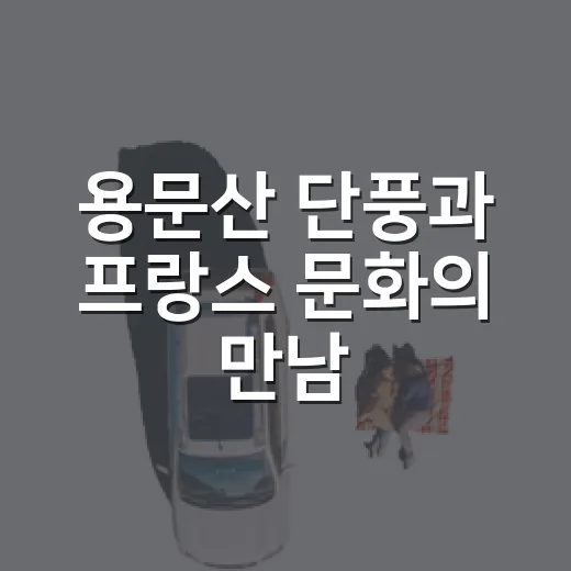 용문산 단풍과 프랑스 문화의 만남