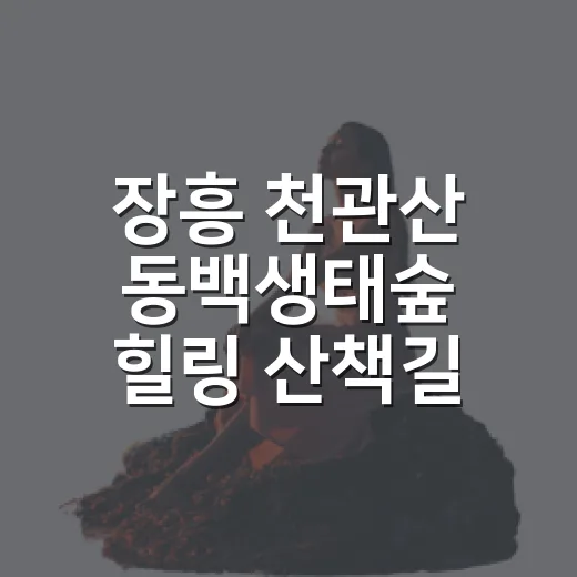 장흥 천관산 동백생태숲 힐링 산책길