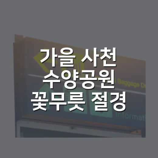 가을 사천 수양공원 꽃무릇 절경 산책