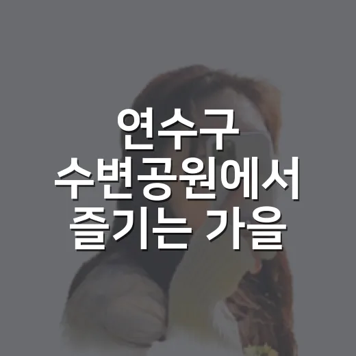 연수구 수변공원에서 즐기는 가을 산책