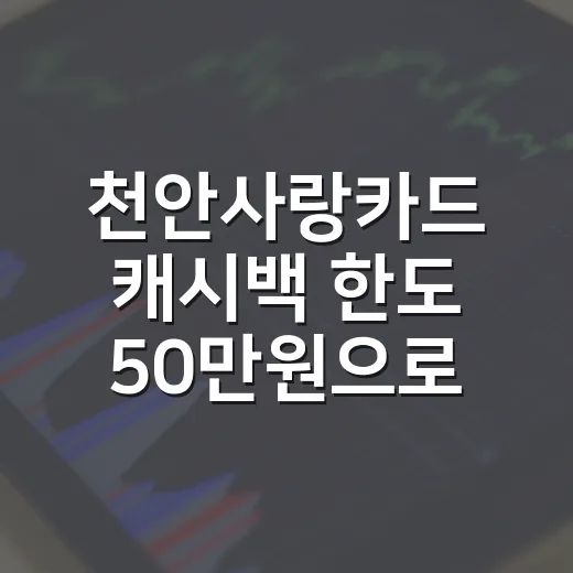 천안사랑카드 캐시백 한도 50만원으로 확대