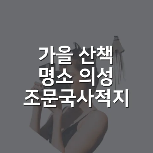 가을 산책 명소 의성 조문국사적지