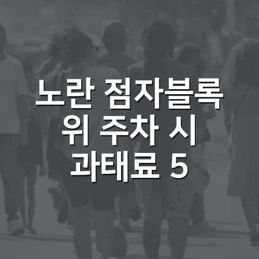 노란 점자블록 위 주차 시 과태료 50만원
