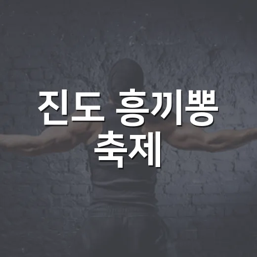 진도 흥끼뽕 축제, 전통과 흥의 향연