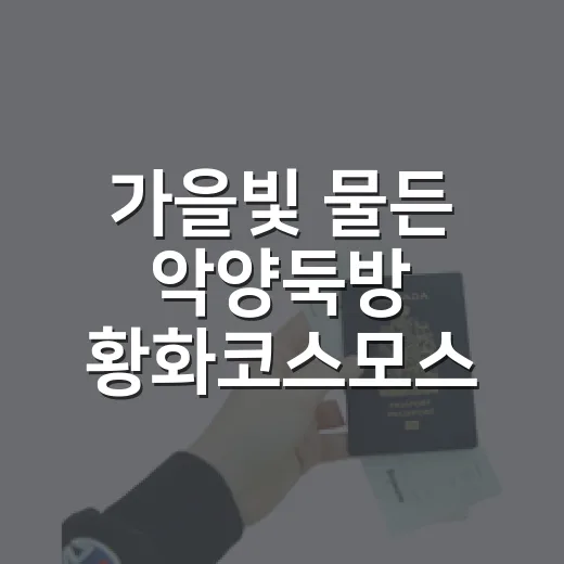 가을빛 물든 악양둑방 황화코스모스 산책길