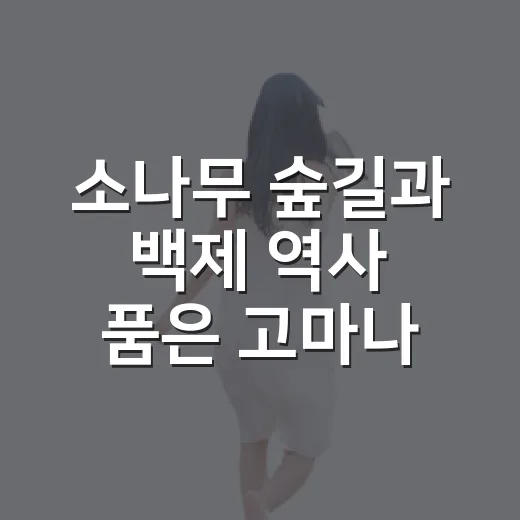 소나무 숲길과 백제 역사 품은 고마나루 산책