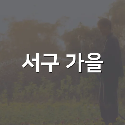서구 가을, 건강과 배움의 이야기