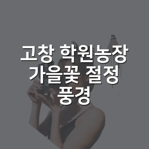 고창 학원농장 가을꽃 절정 풍경