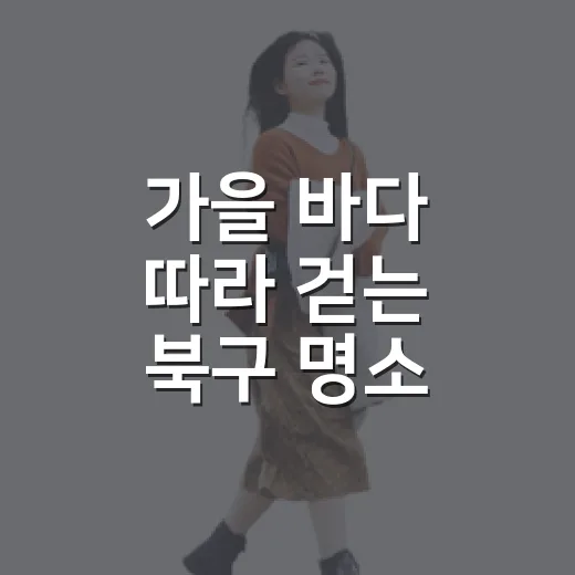 가을 바다 따라 걷는 북구 명소 3선