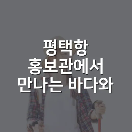 평택항 홍보관에서 만나는 바다와 무역의 미래