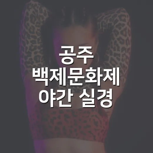 공주 백제문화제 야간 실경 공연 접경