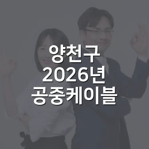 양천구 2026년 공중케이블 대대적 정비