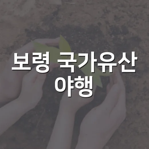 보령 국가유산 야행, 차 없는 거리와 임시정류장 운영