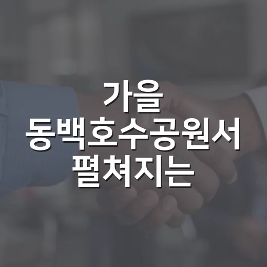 가을 동백호수공원서 펼쳐지는 사회적경제 축제