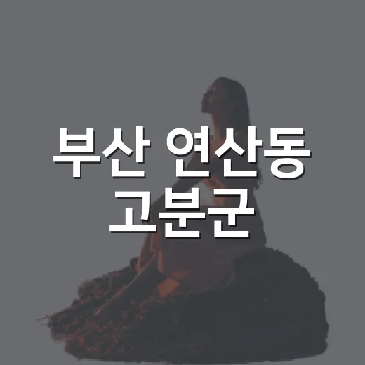 부산 연산동 고분군, 도심 속 역사 산책길