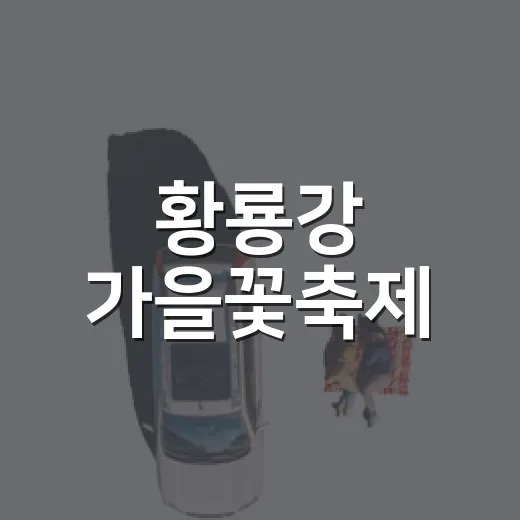 황룡강 가을꽃축제, 황금빛 물든 강변 산책길