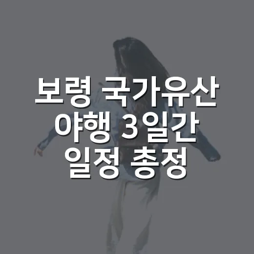 보령 국가유산 야행 3일간 일정 총정리