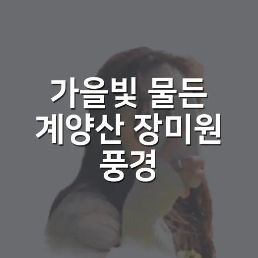 가을빛 물든 계양산 장미원 풍경
