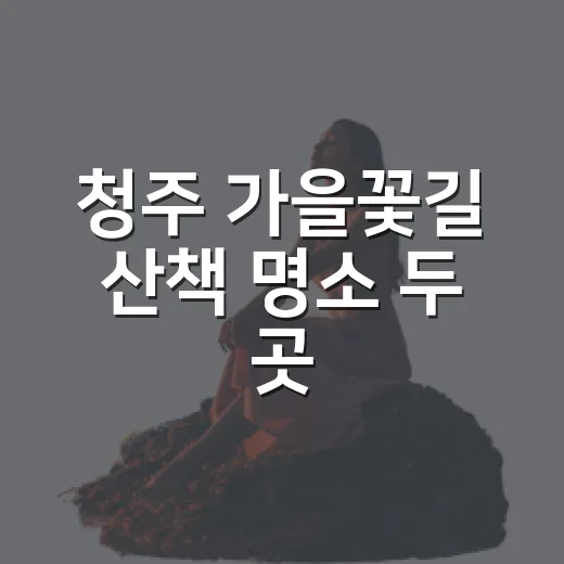 청주 가을꽃길 산책 명소 두 곳