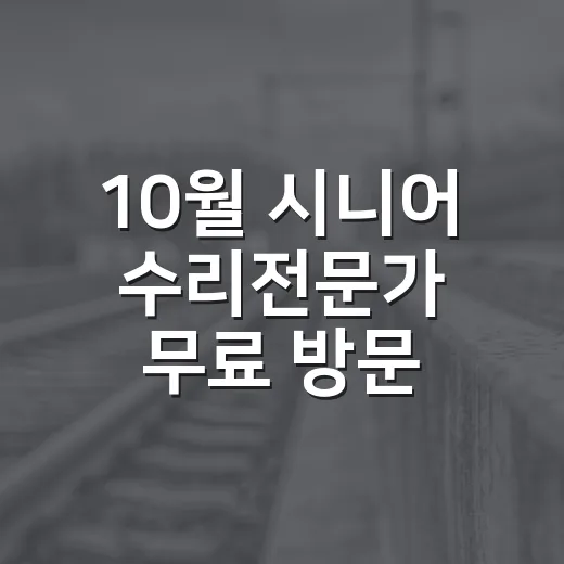 10월 시니어 수리전문가 무료 방문 서비스